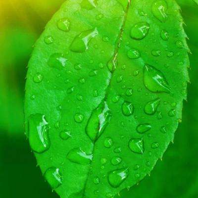 金沙集团186cc成色官方版下载截图